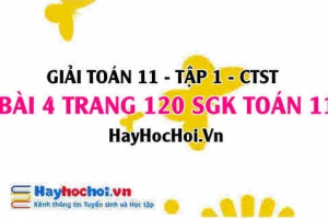 Giải bài 4 trang 120 Toán 11 tập 1 SGK Chân trời sáng tạo